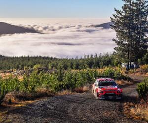 Site4323-ogier-chili19