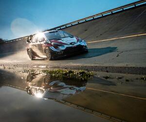 Site4424-ogier-monza20-rbcp