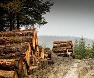 Site9845-ogier-wales17