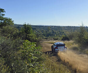 Rally Argentina