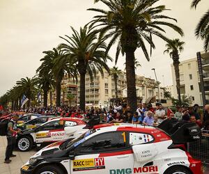Site1608-ogier-cat22