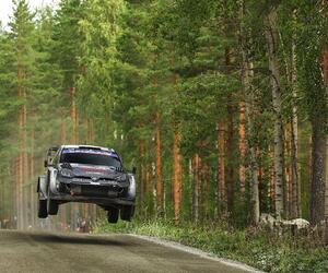 Site1721-ogier-finlande24