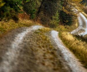 Site9857-ogier-wales17