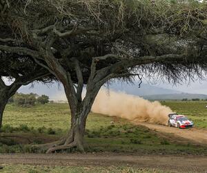 Site1517-ogier-kenya23