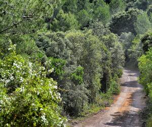 Site4854-ambiance-italie18