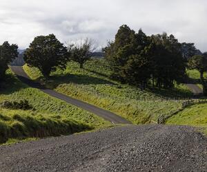 Site1826-ambiance-nz22