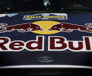 Site7805-ambiance-suede17