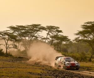 Site4426-ogier-safari21