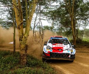 Site4339-ogier-safari21