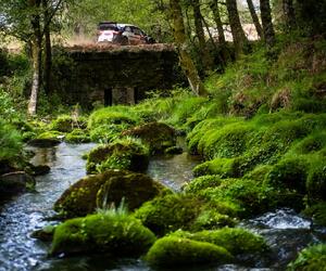 Site5424-ogier-portugal21-rbcp