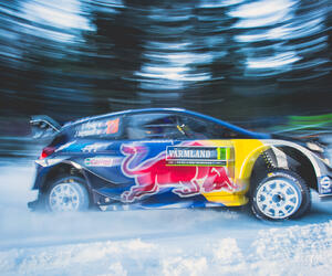 Site7715-ogier-suede17