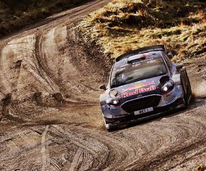 Site9518-ogier-wales17