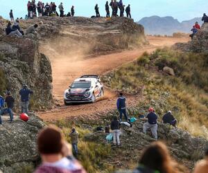 Site5338-ogier-argentine18