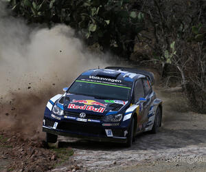 Rally Mexico