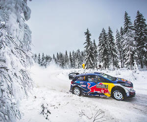 Site7525-ogier-suede17