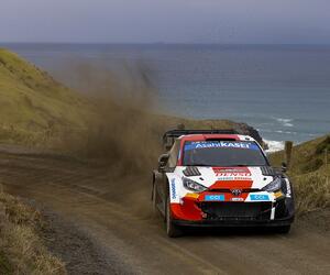 Site1531-ogier-nz22