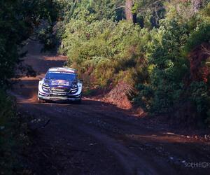 Site4540-ogier-turquie18
