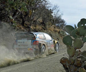 Rally Mexico