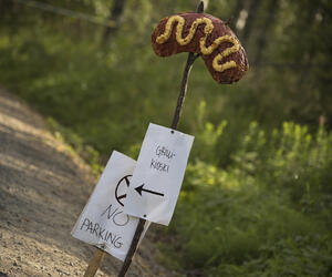 Rallye de Finlande