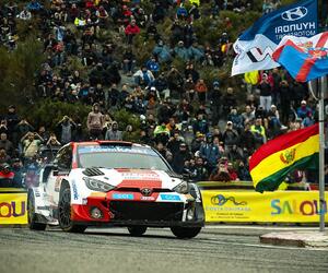 Site1304-ogier-cat22-rbcp