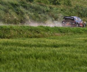 Site3521-ogier-pologne17