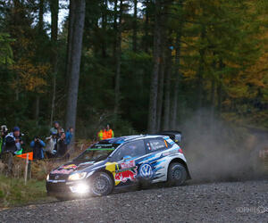GBR5734-ogier-gbr16