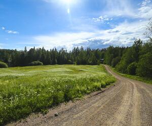 Site1835-ambiance-finlande24