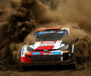 Site1529-ogier-safari22-rbcp