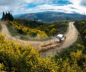 Site5511-ogier-portugal21-rbcp