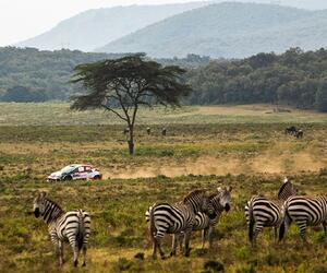Site1314-ogier-kenya23-rbcp