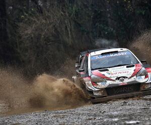 Site4439-ogier-monza20