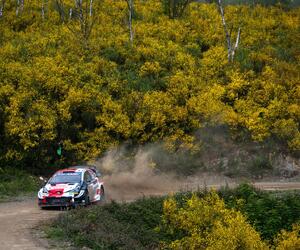 Site5510-ogier-portugal21-rbcp