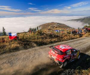 Site4436-ogier-chili19