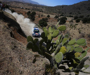 Rally Mexico