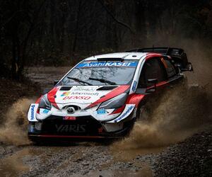 Site4625-ogier-monza20-rbcp