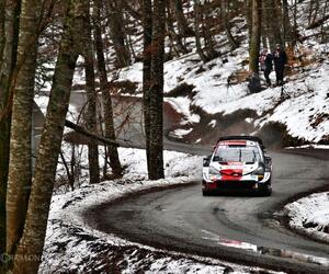 Site2629-ogier-monte21