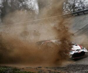 Site4628-ogier-monza20