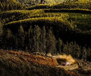 Site4448-ogier-chili19