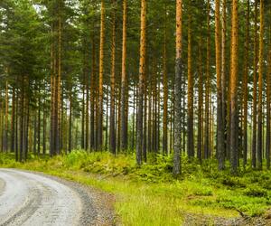 Site3835-ambiance-finlande17