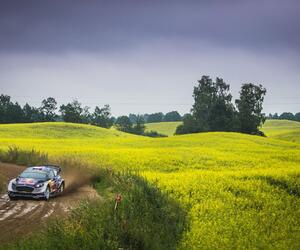 Site3544-ogier-pologne17