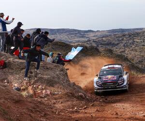 Site5339-ogier-argentine18