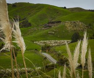 Site1835-ambiance-nz22