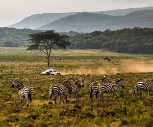 Site1316-ogier-kenya23-rbcp