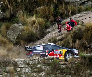 Site5438-ogier-argentine18