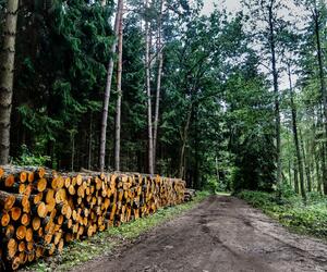 Site3849-ambiance-pologne17