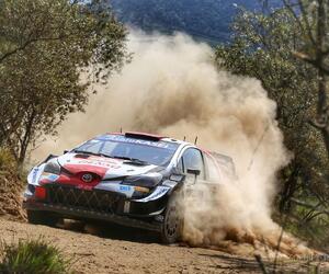 Site4536-ogier-safari21