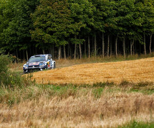 zipallemagne534-ogier-allemagne16