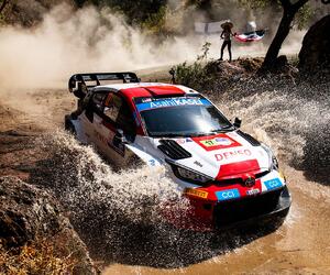 Site1718-ogier-mexique23-rbcp