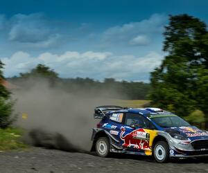 Site3439-ogier-pologne17