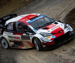Site2511-ogier-monte21-rbcp